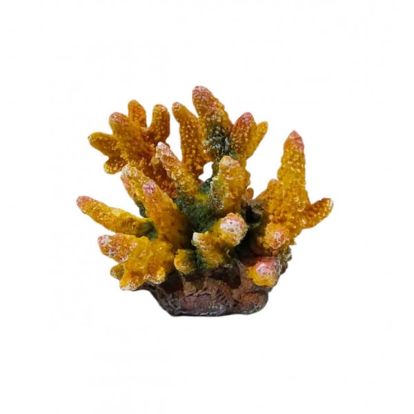 ΔΙΑΚΟΣΜΗΤΙΚΟ ΕΝΥΔΡΕΙΟΥ 11CM